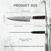 Qulajoy 8 Inch Japanese Chef Knife,67 Layers Damascus VG-10 Steel Core,Professional Hammered Kitchen Knife